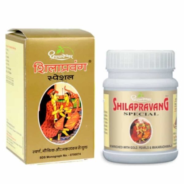dhootapapeshwar shilapravang (2)